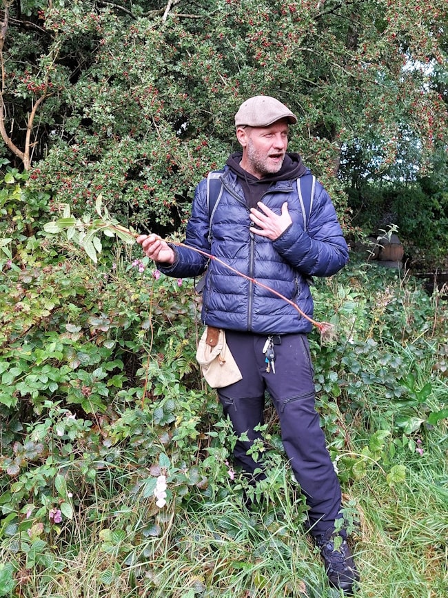 Wild Food Exploration