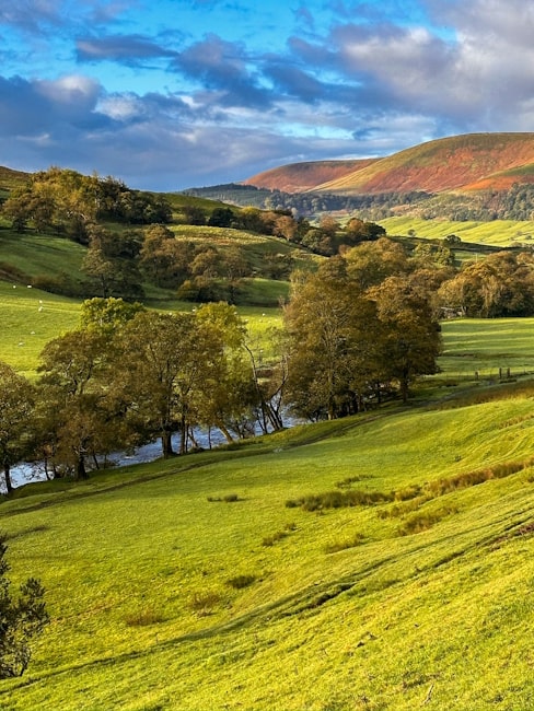 "One of the best views in the Forest of Bowland" © S Adair (Forest of Bowland Diamond Anniversary 2024 exhibition entry.)